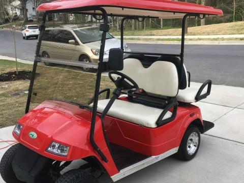 2010 Zone Electric Street Legal Cart for sale