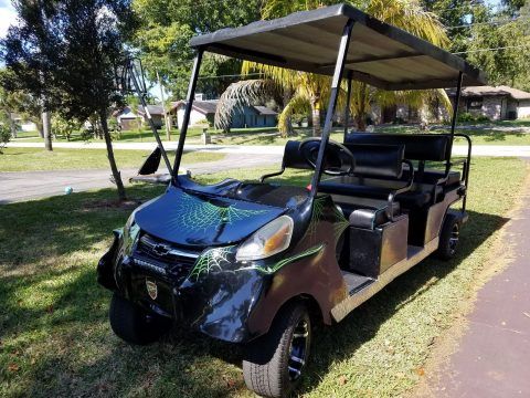 everything new Melex Custom Electric Golf Cart for sale