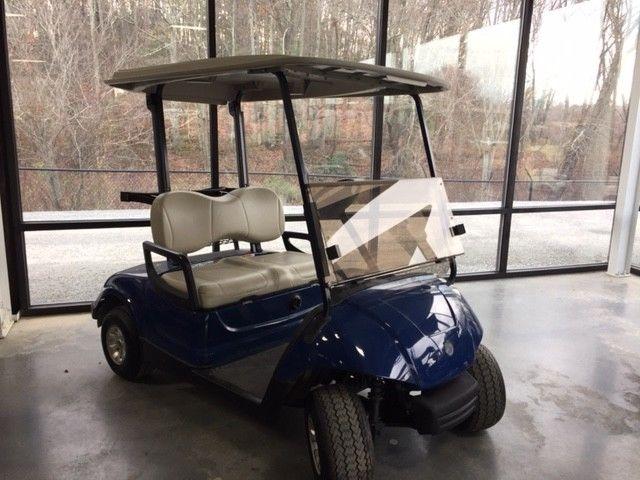 Completely Serviced 2014 Gas Golf Cart