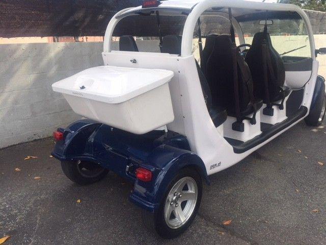 deluxe package 2014 Gem golf Cart