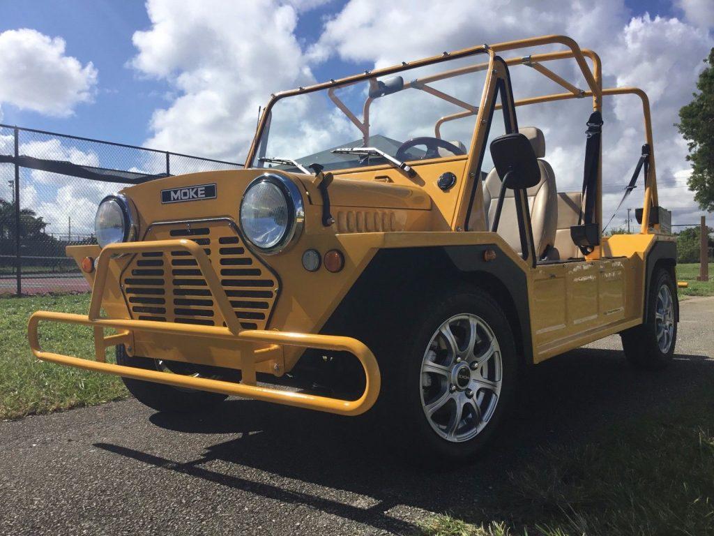 new enclosure 2017 ACG Mini Moke Golf Cart
