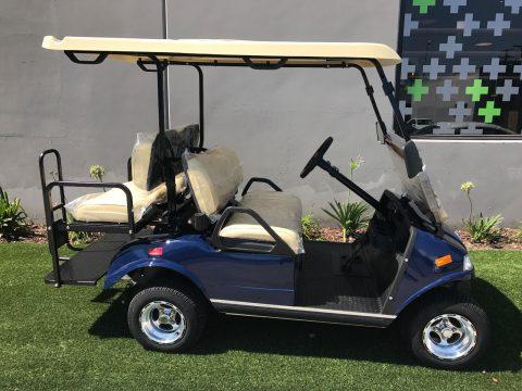 well equipped 2018 Blue LSV Evolution EV Golf Cart for sale