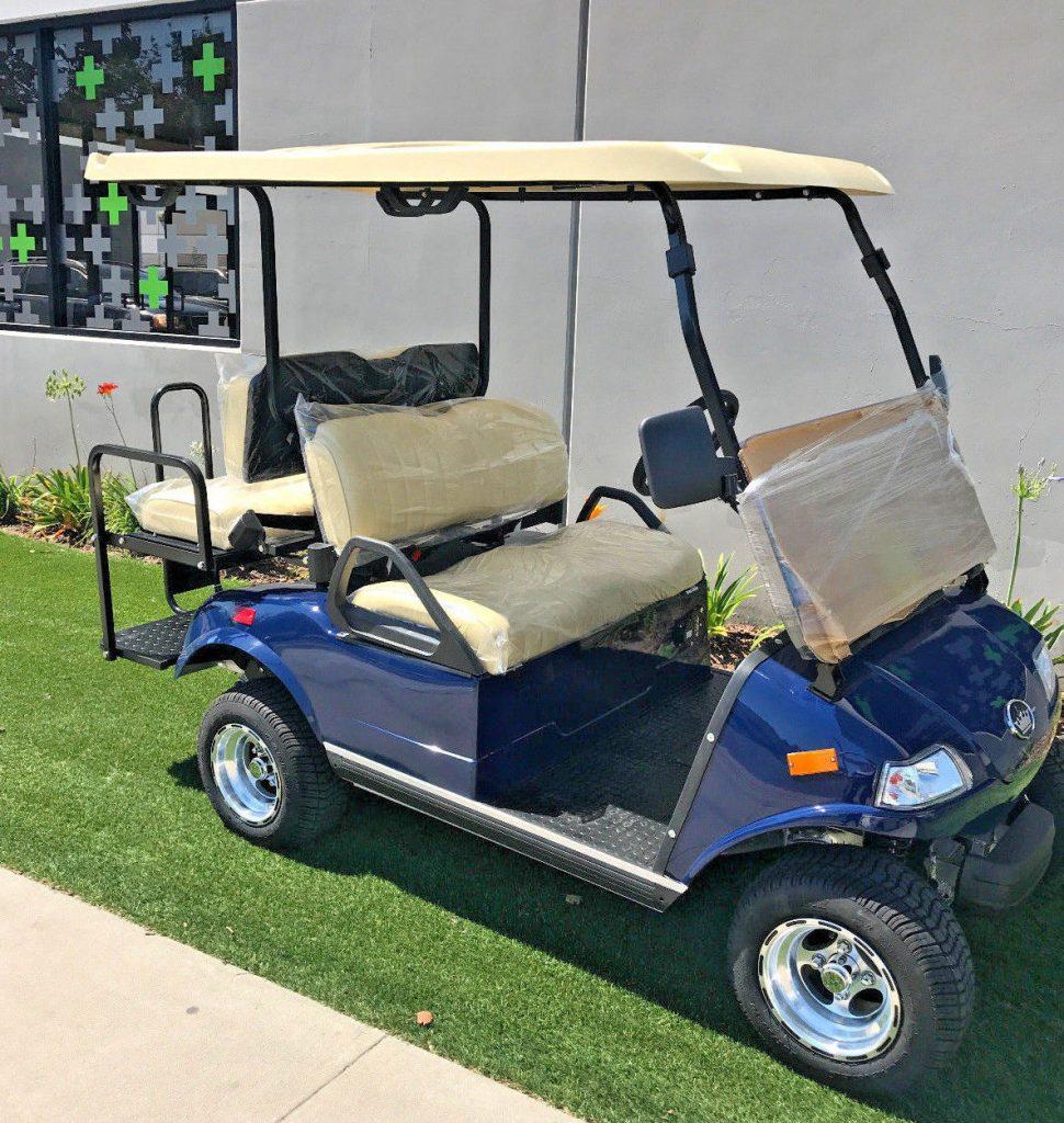 well equipped 2018 Blue LSV Evolution EV Golf Cart