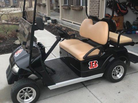 excellent condition 2013 Star Golf Cart for sale