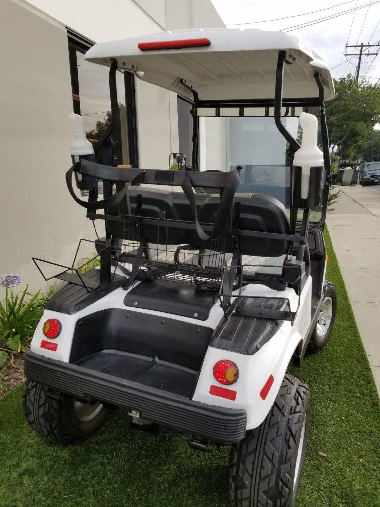Custom 2015 ACG T Sport Lifted Custom golf cart