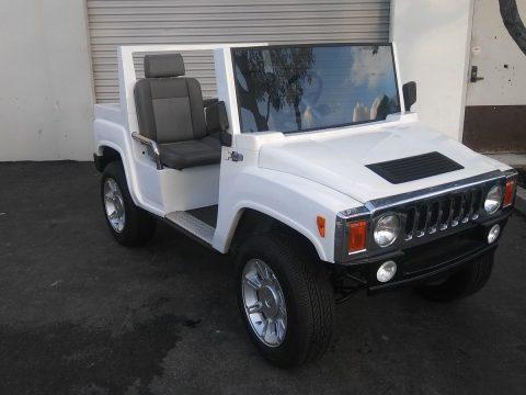 low miles 2015 acg Hummer Golf Cart for sale