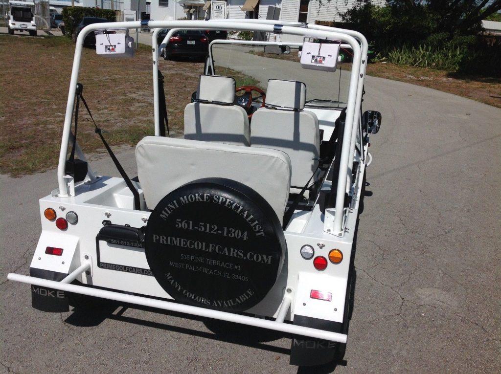 beach buggy 2017 ACG custom golf cart