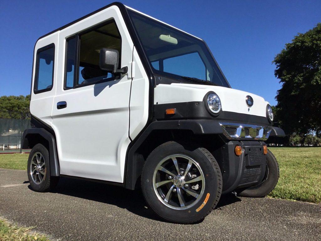 maintenance free battery 2018 Revolution golf cart