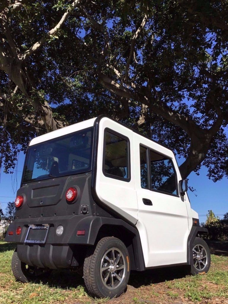 maintenance free battery 2018 Revolution golf cart