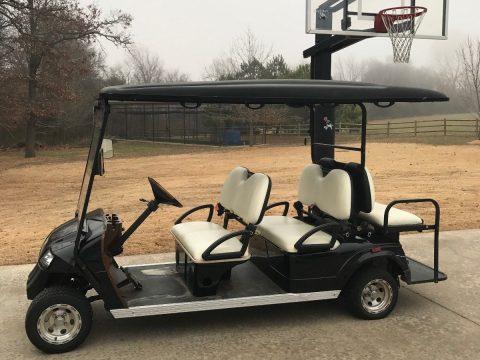 low hours 2010 ZONE SIX Passenger LIMO GOLF CART for sale