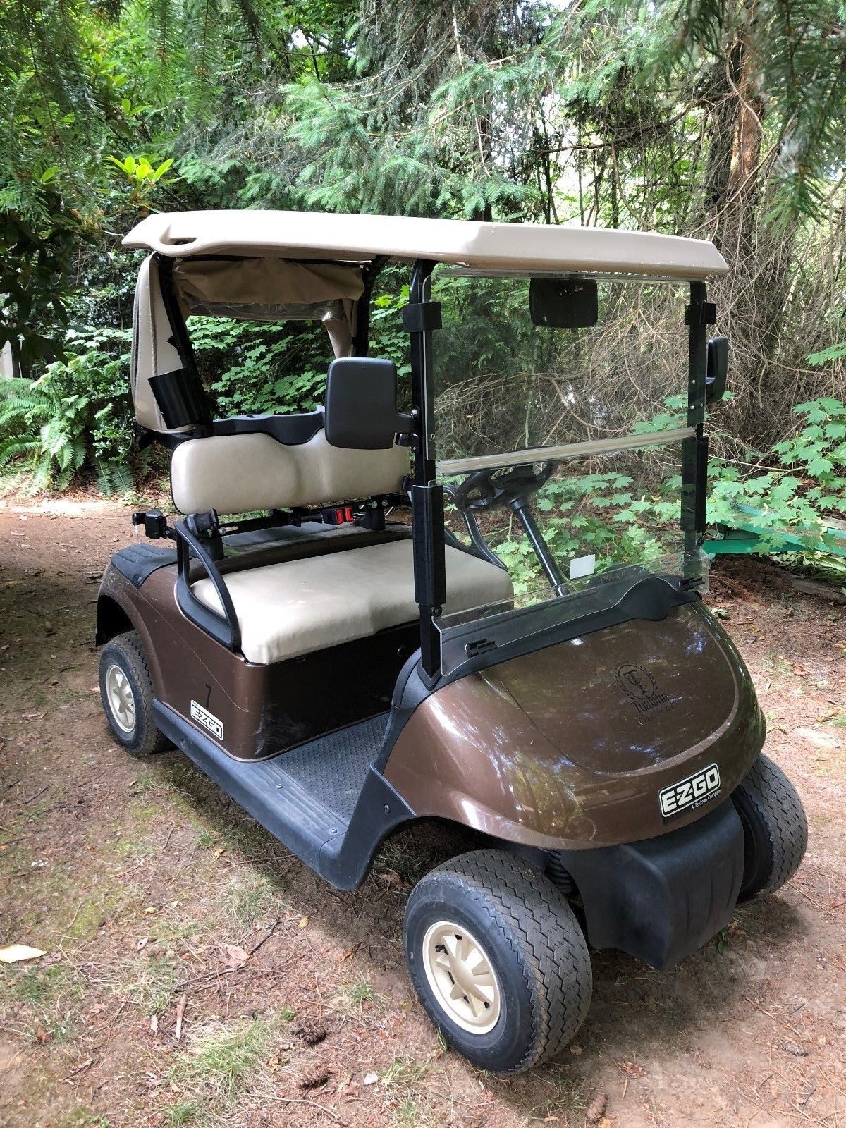 great shape 2015 EZGO RXV 48v golf cart for sale