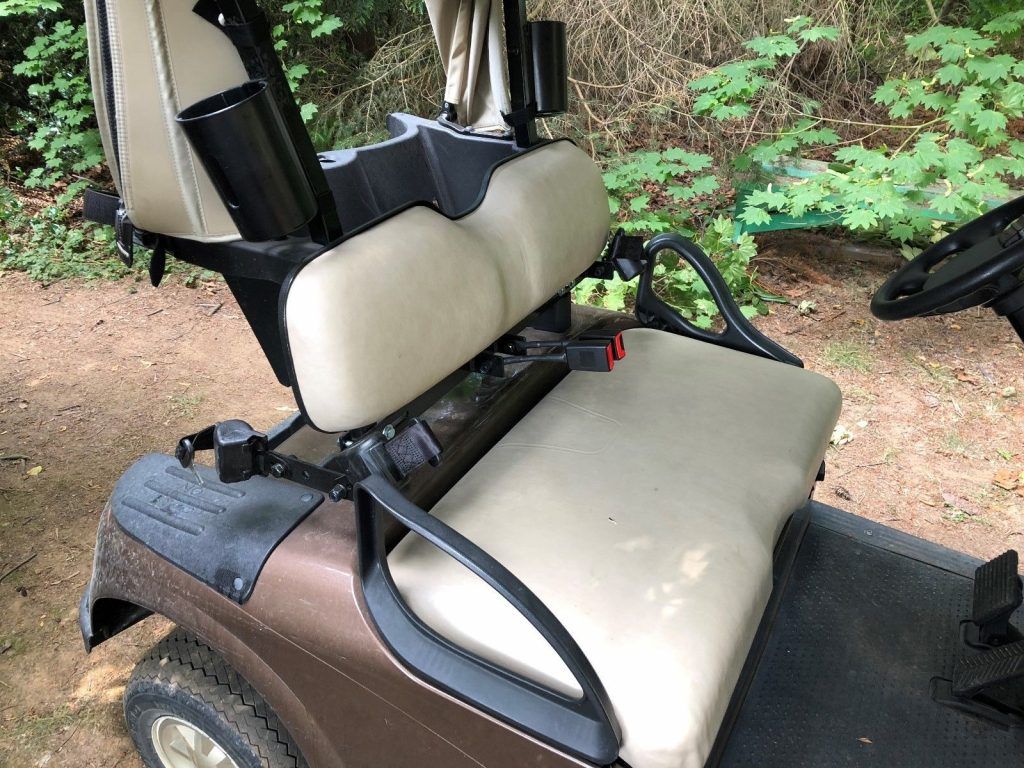 great shape 2015 EZGO RXV 48v golf cart