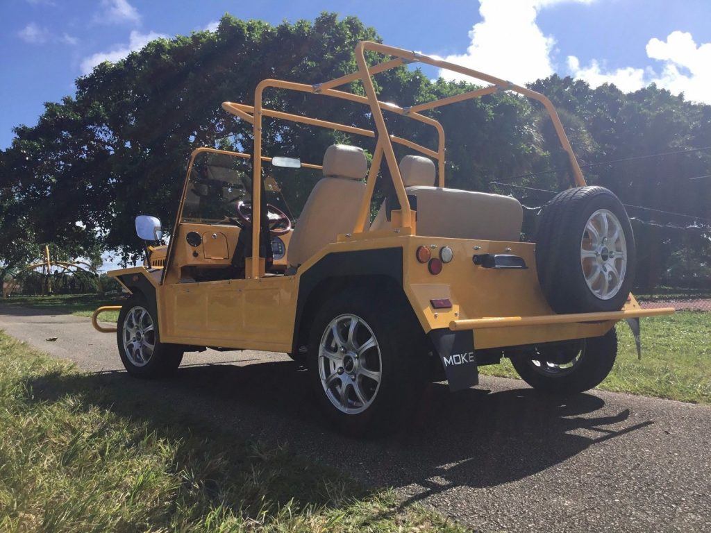 beach buggy 2016 ACG Mini Moke Golf Cart