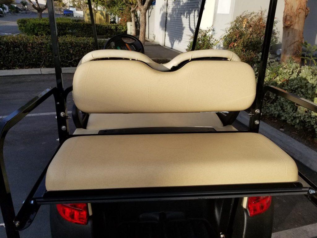 Custom 2017 Club Car Precedent Golf Cart
