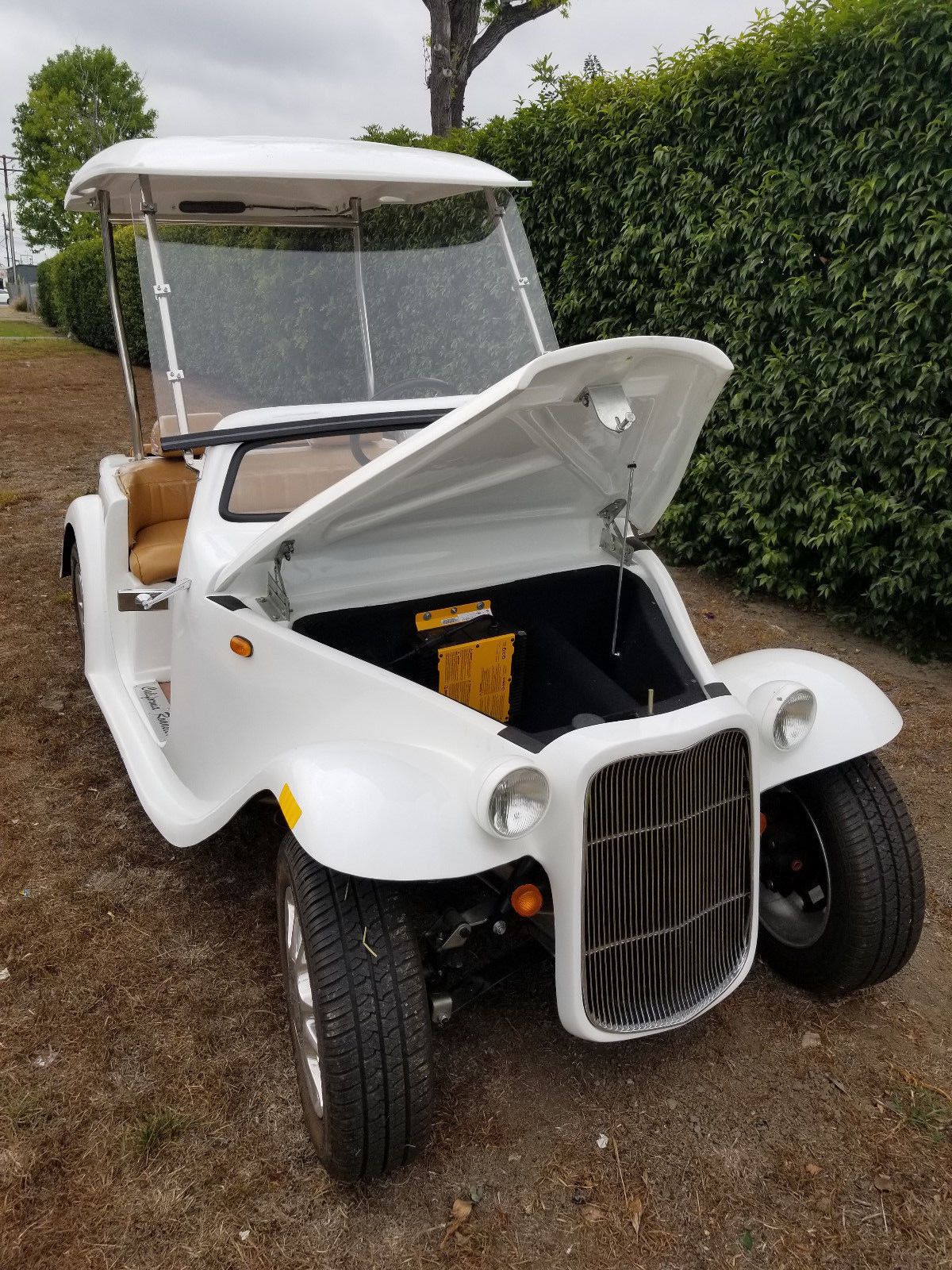 customized 2016 ACG California Roadster Golf Cart for sale
