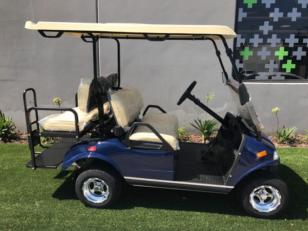 great shape 2018 Blue Evolution EV Golf Cart