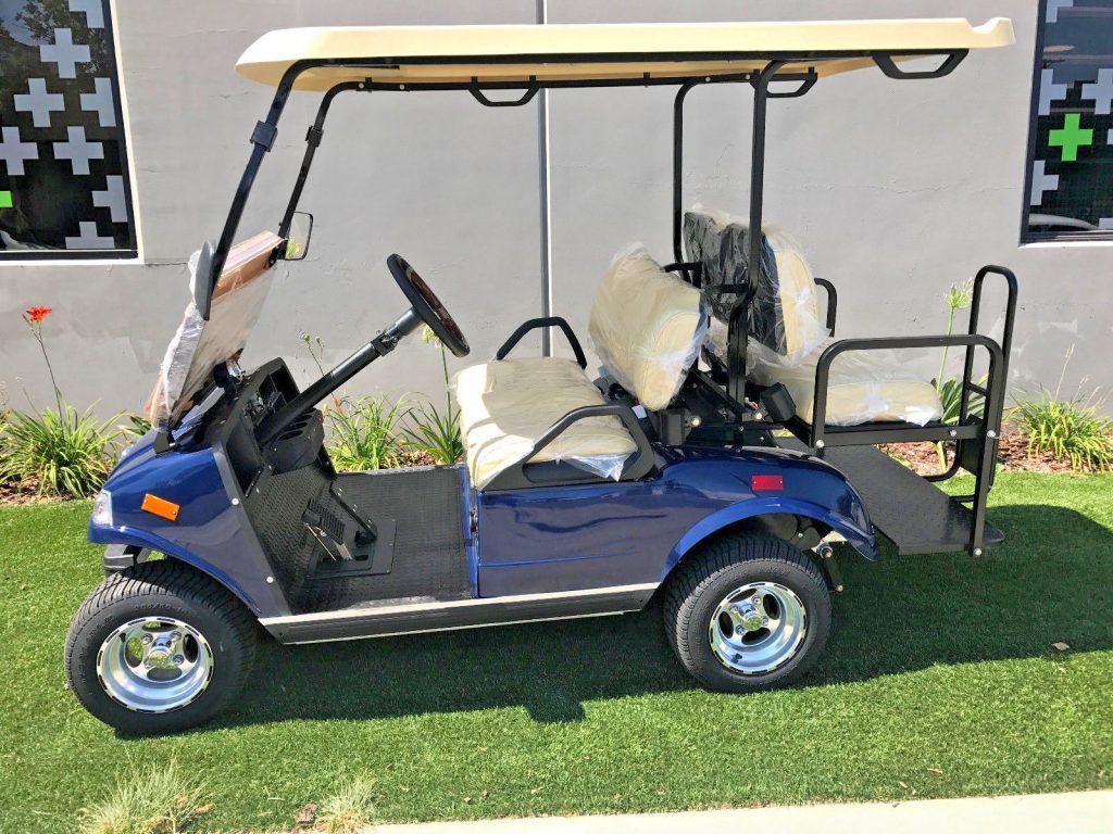 great shape 2018 Blue Evolution EV Golf Cart