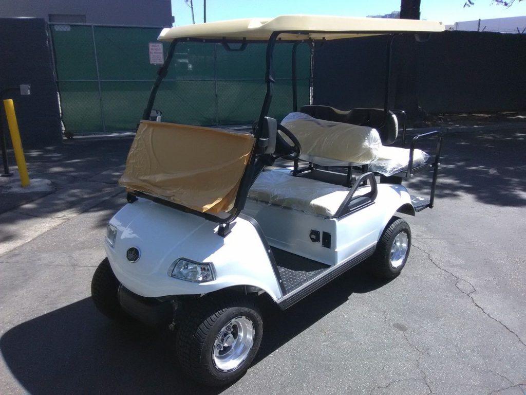 brand new 2018 Evolution EV Golf Cart