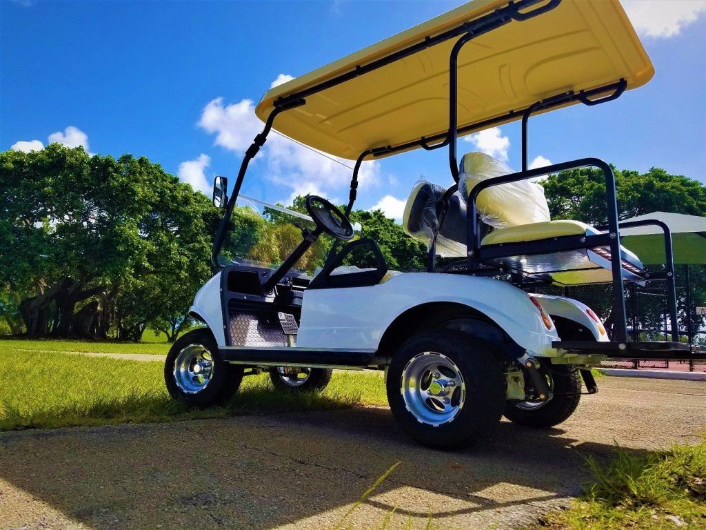 great shape 2018 Evolution Golf Cart