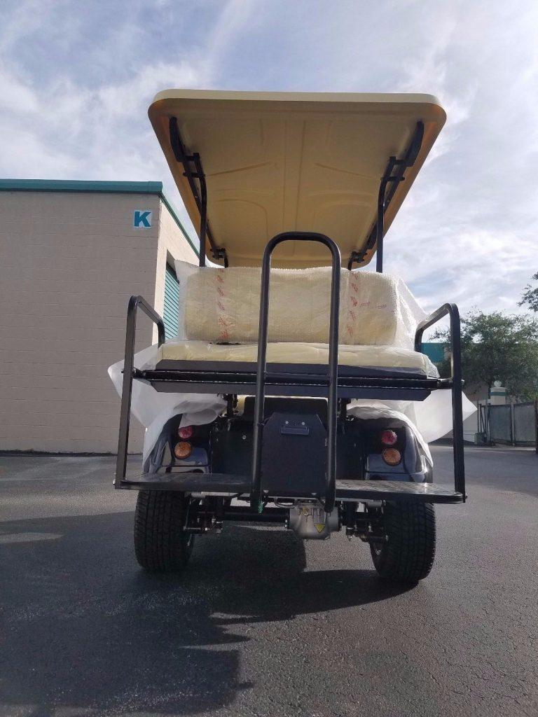 loaded 2018 Evolution Golf Cart