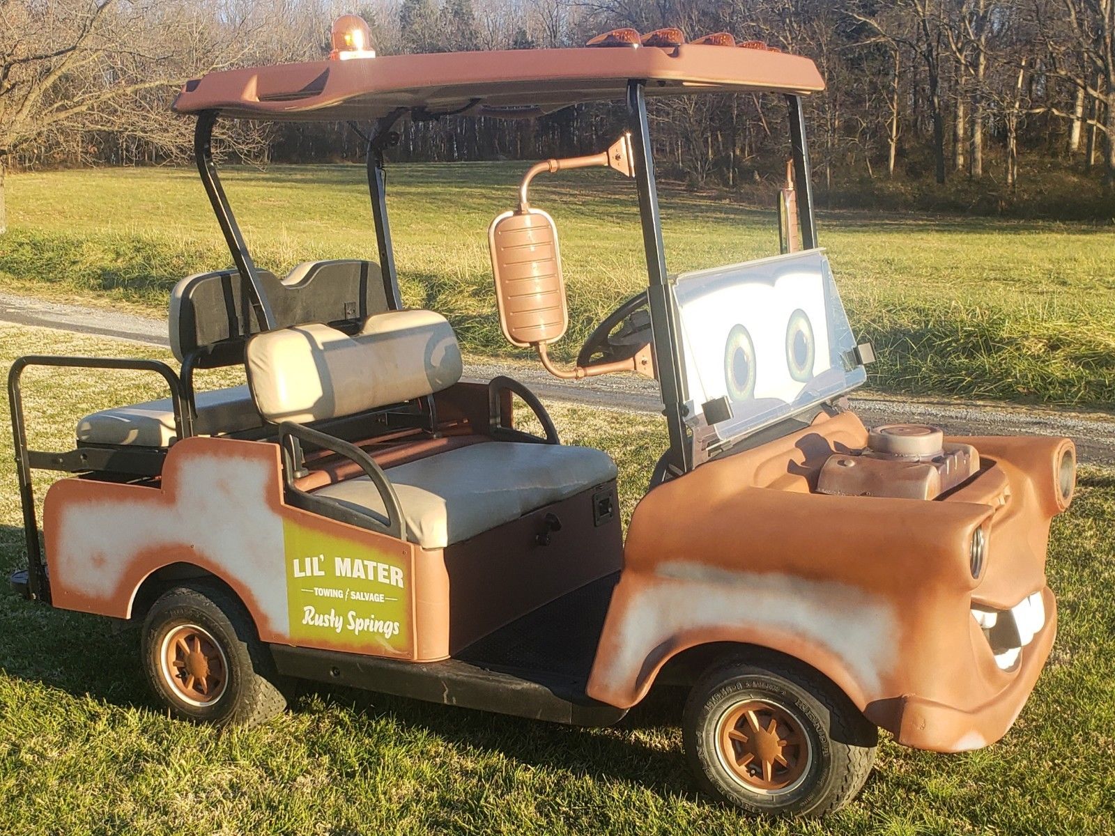 Lil Mater 2014 EZGO RXV Golf Cart for sale