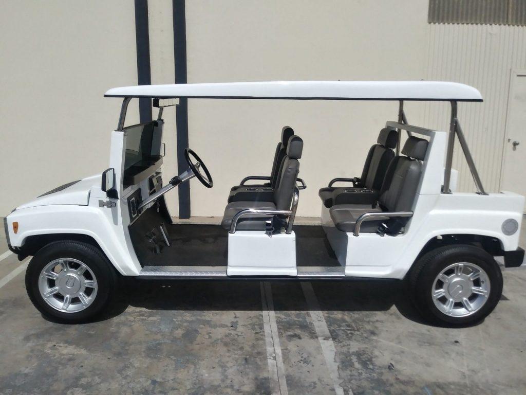 low mileage 2015 ACG Golf Cart