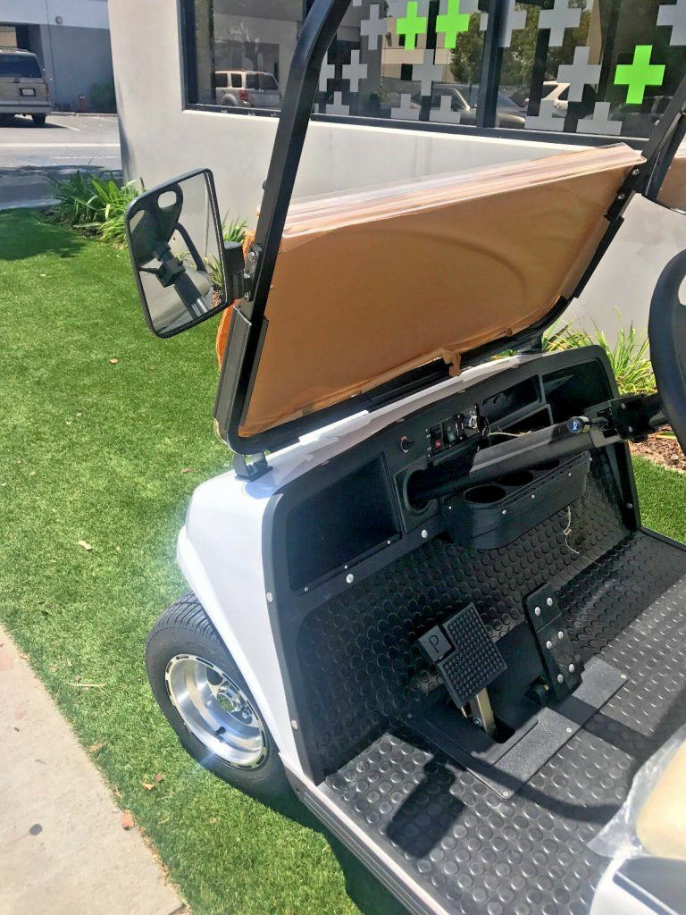 Carrier limousine 2017 Evolution Golf Cart