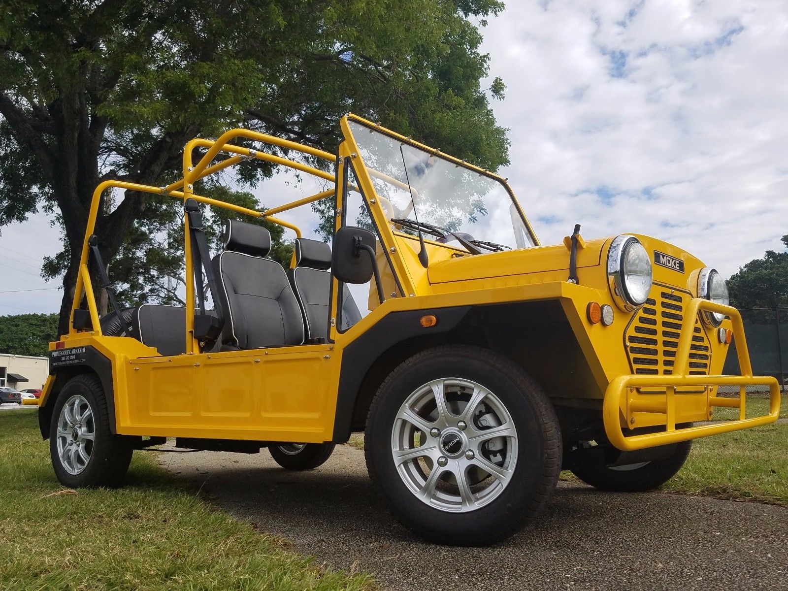 custom bodied 2017 acg Mini Moke Golf Cart for sale