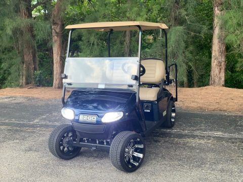 low miles 2017 EZGO golf cart for sale