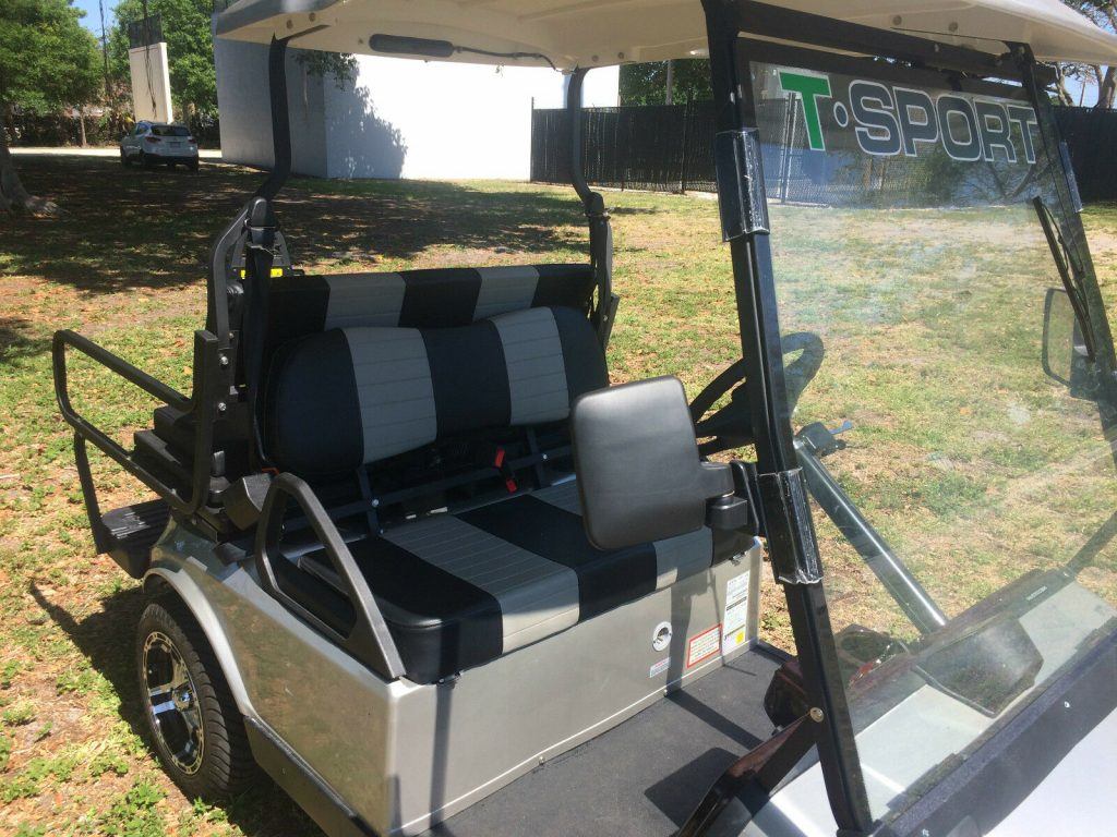 well equipped 2017 acg T Sport Golf Cart