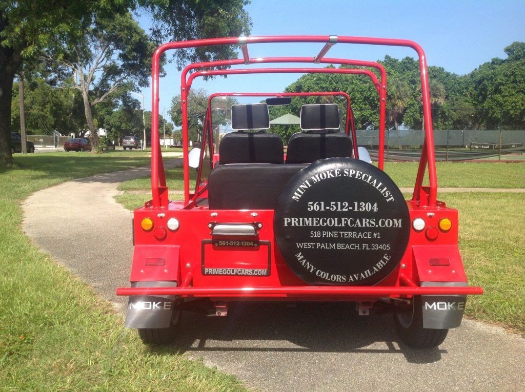 custom body 2018 Acg Mini Moke Golf Cart