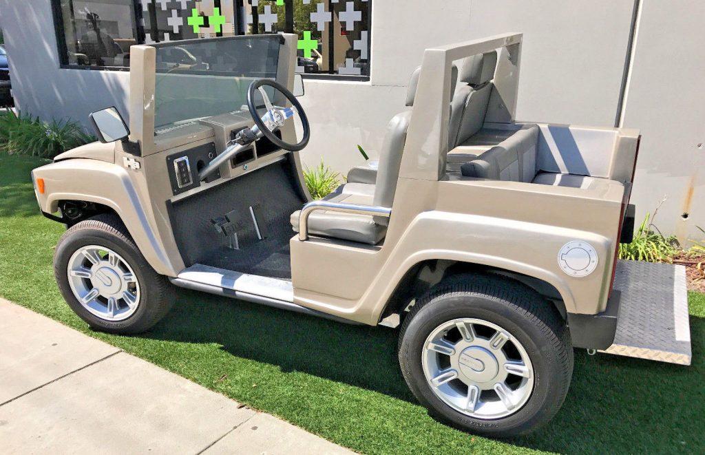 custom bodied 2015 ACG Golf Cart