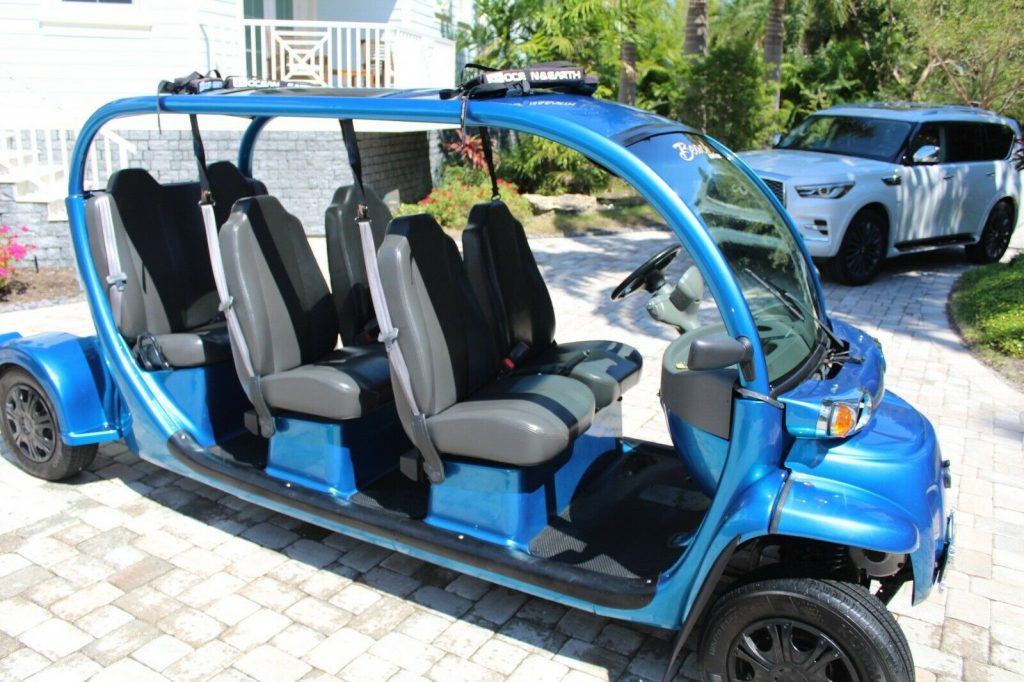 Unique and Totally Custom 2011 GEM golf cart