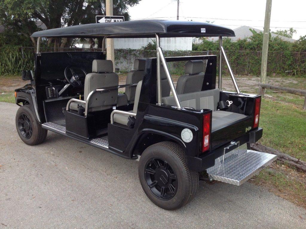 well equipped 2015 ACG Golf Cart