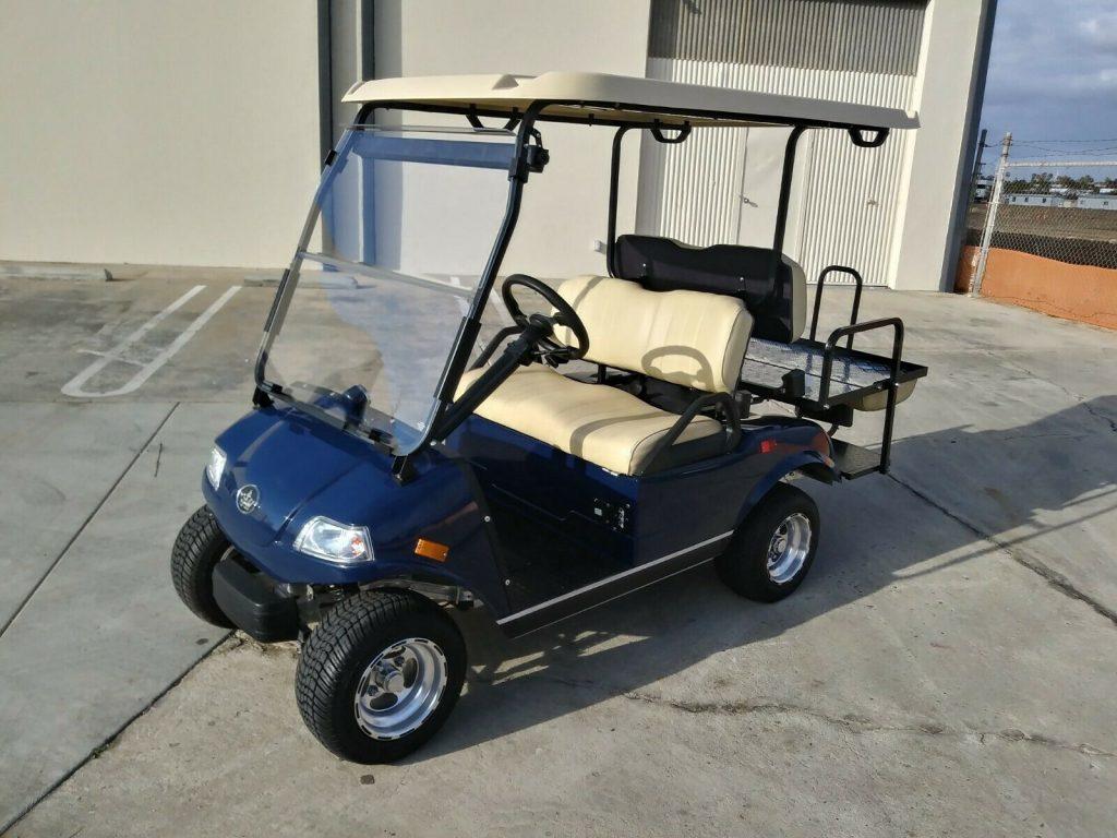 beautiful 2018 Evolution EV Golf Cart