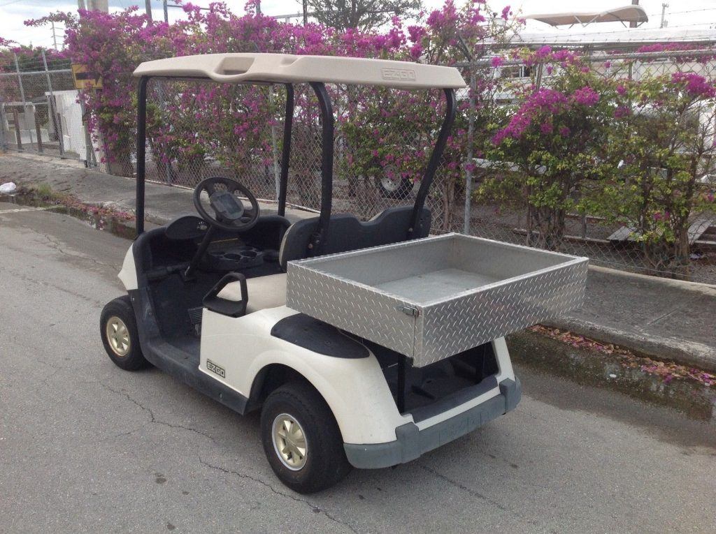 strong batteries 2010 EZGO rxv golf cart