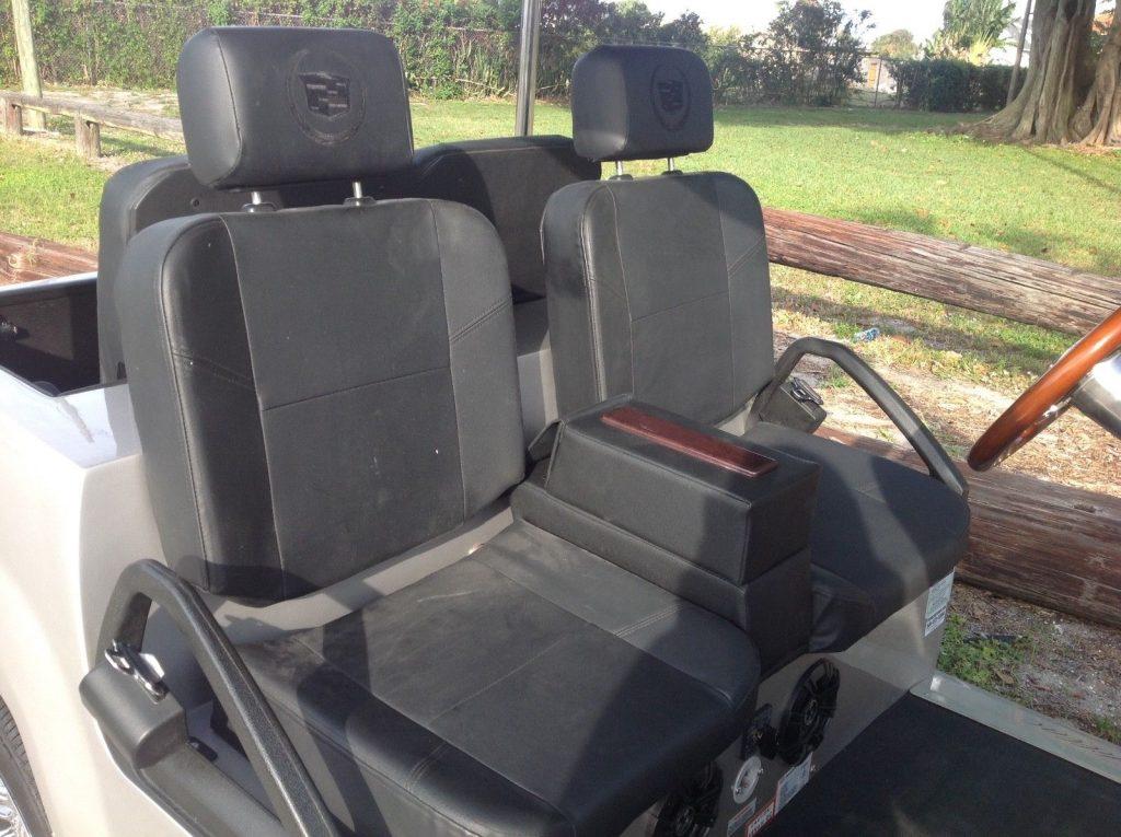 custom 2015 ACG Golf Cart