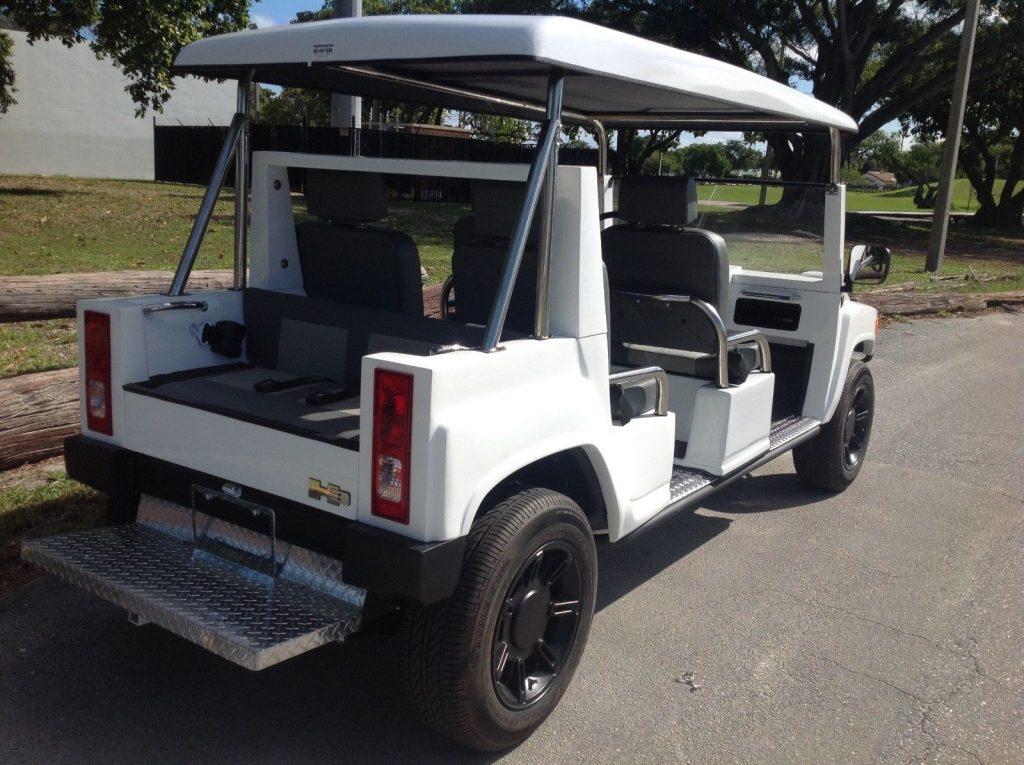 very nice 2015 ACG Golf Cart