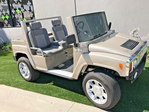 custom bodied 2015 ACG Golf Cart for sale