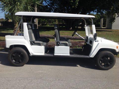 great shape 2015 ACG golf cart for sale