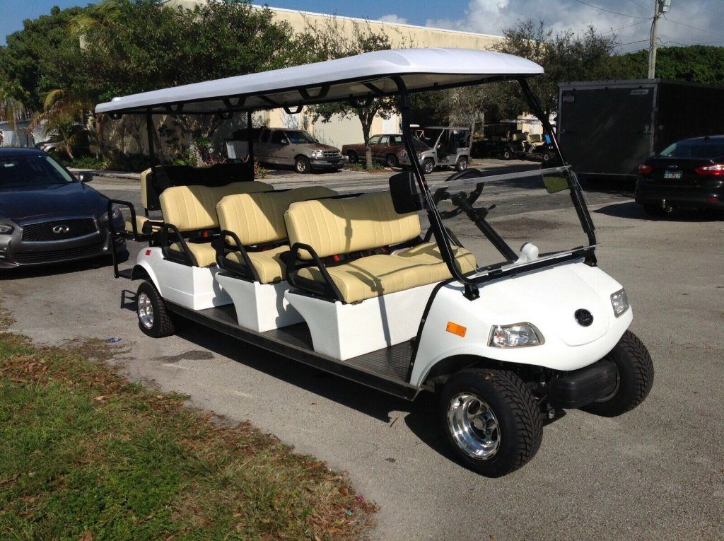 Limousine 2019 Evolution golf cart