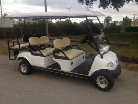 nice 2019 Evolution golf cart for sale