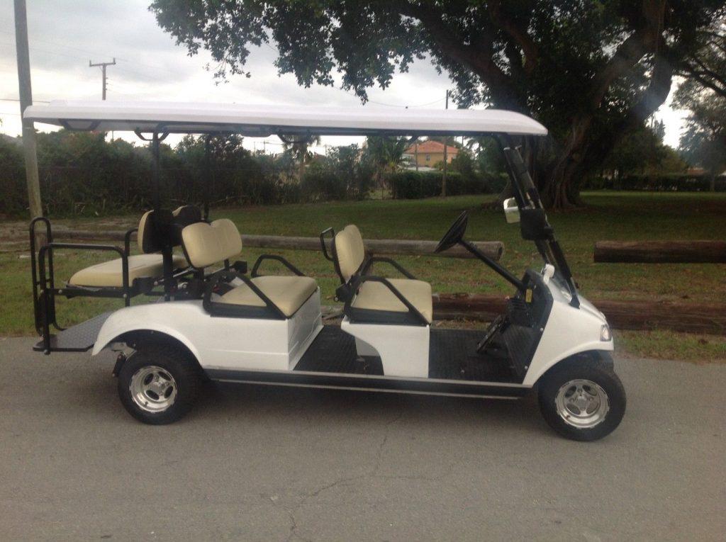 nice 2019 Evolution golf cart