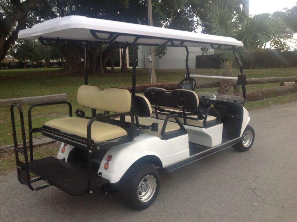 nice 2019 Evolution golf cart