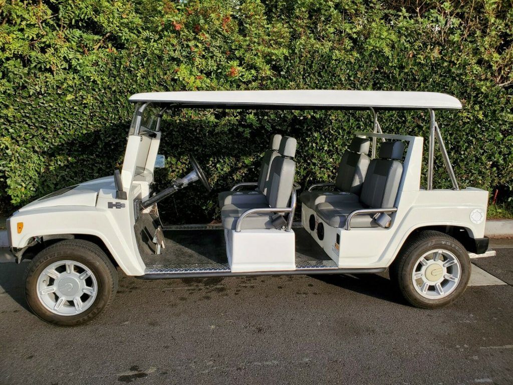 custom 2012 ACG Golf Cart