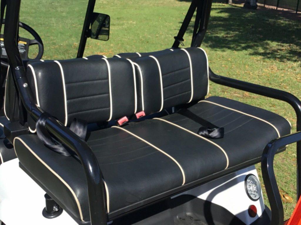 new batteries 2017 Tomberlin Emerge E2 golf cart