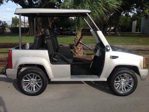 custom body 2015 ACG Golf Cart for sale