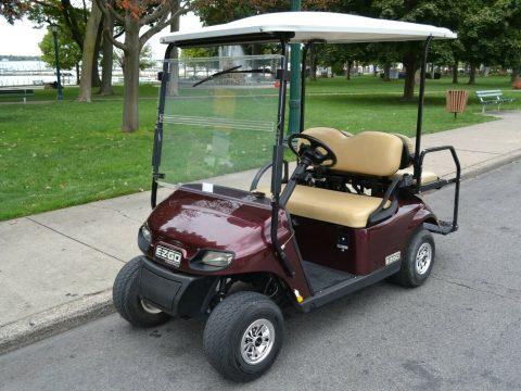 well serviced 2017 EZGO Golf Cart for sale