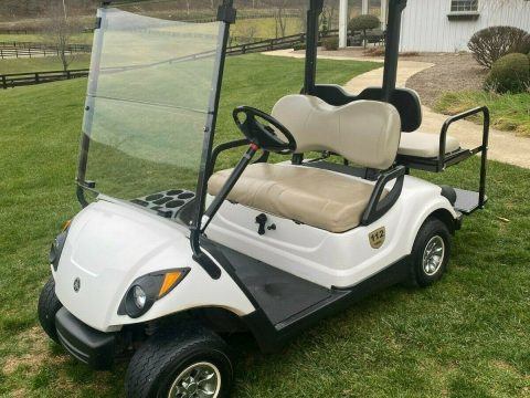 Excellent 2009 Yamaha G29 Drive Gas Golf Cart for sale