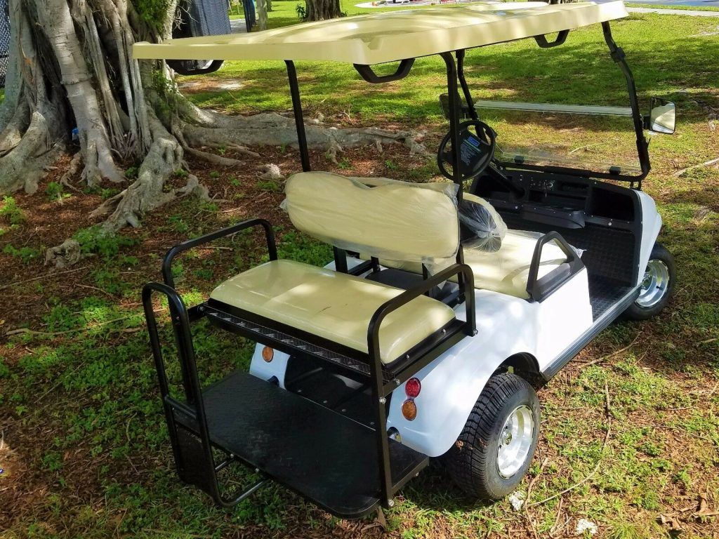 very nice 2020 Evolution Golf Cart
